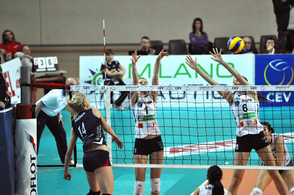 Asystel NO Muszynianka (37)